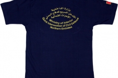 Quick-Intervention-Northern-Emirates-VAR_T-Shirt_2